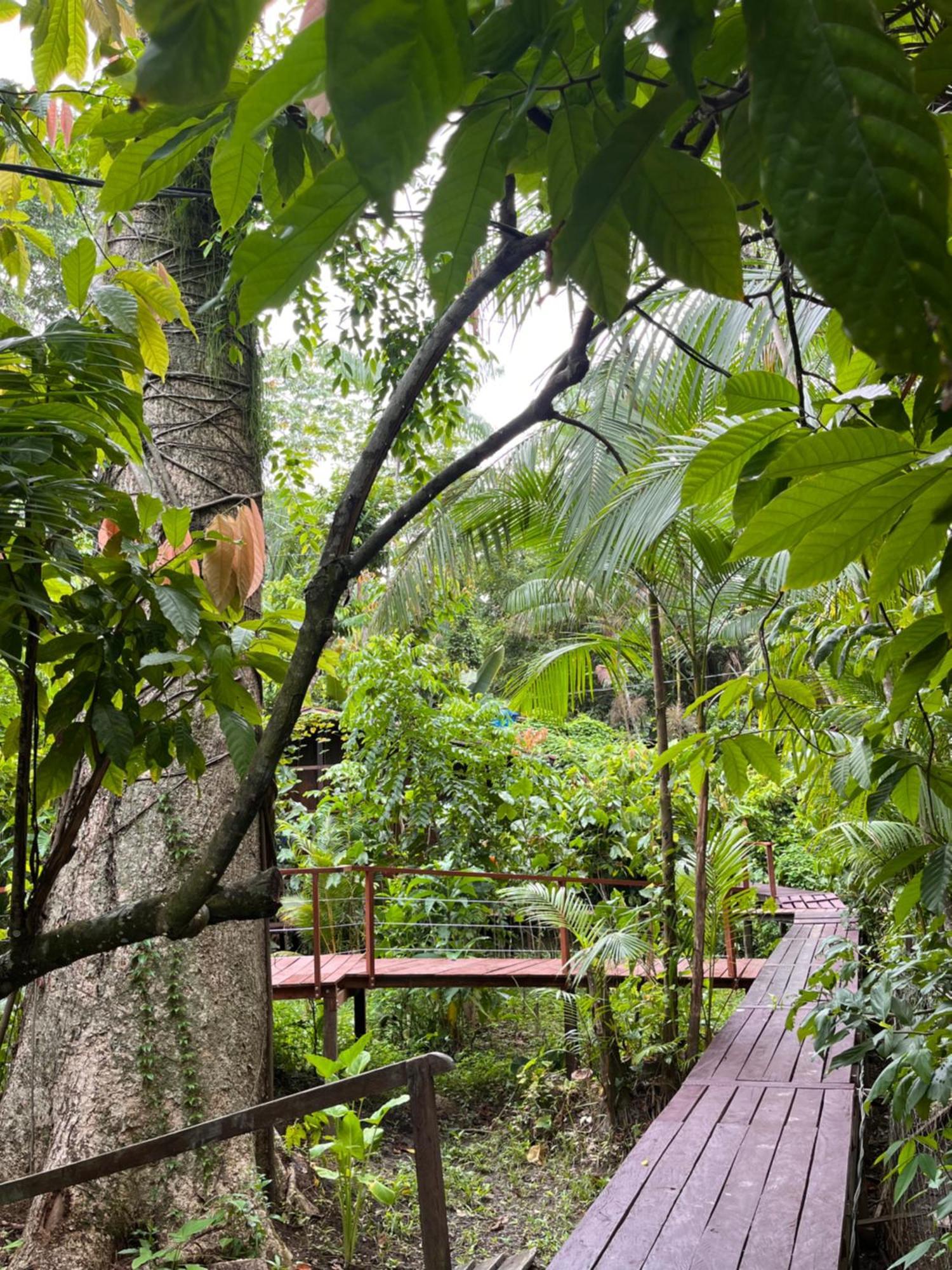 Olaria River Hostel Belém Dış mekan fotoğraf